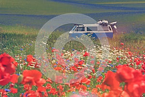 Old german vintage campervan cruising trough beautiful poppy field, retro vintage photo filter effect in pastel colors