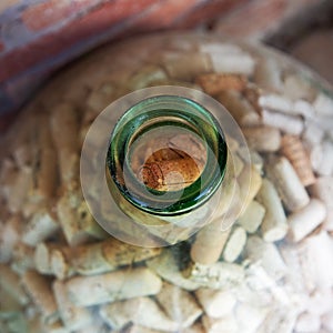 Old glass demijohn full of corks