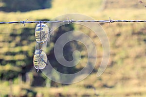 Old glasses hanging from barbed wire, loneliness and abandonment of life