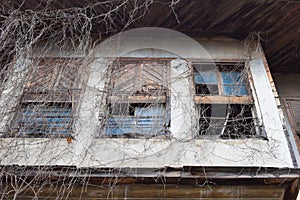 Old gloomy abandoned house in dry branches. gray desert haunted house