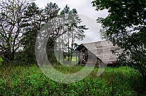 Old gloomy abandoned wooden house in the forest