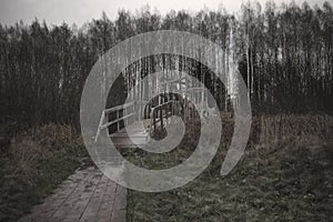 Old and gloomy wooden bridge over the river. Detachment in the water. Gloomy and mysterious forest. Cloudy sky.