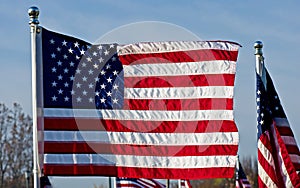 Old Glory Honoring our Veterans