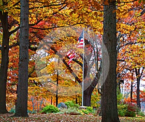 Old Glory in the Park