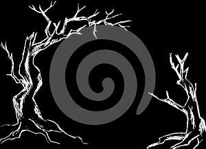 Old gnarled trees drawn in white on a black background