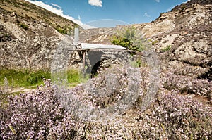 Old gold mine in Central Otago