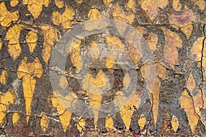 Old golden yellow Thai pattern on the temple wall