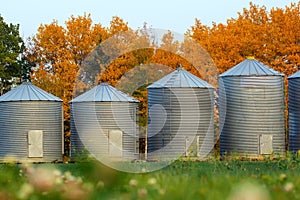 Old grain bins are in the field along the forest in autumn