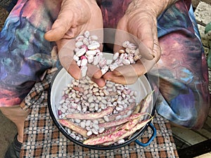 Old grandma hands cleaning beens, food.