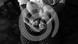 Old grandmother hands holding newborn feet, fourth generation family life. black and white shot, the concept of a family and a new