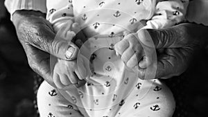 Old grandmother hands holding newborn hands, fourth generation family life. black and white shot, the concept of a family and a ne
