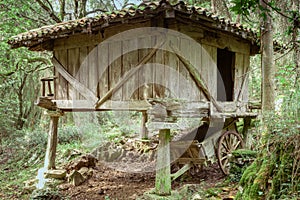An old granary (hÃ³rreo) abandoned in the woods (Asturias) photo