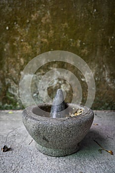 Old granite mortar with pestle and garlic