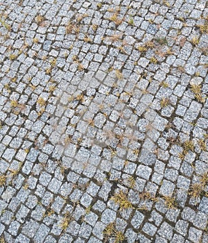 Old granite sidewalk, tufts of grass poking through between the stones