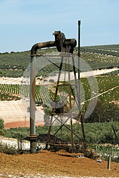 Old grape press, Montilla.