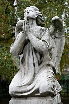 Old grave angel