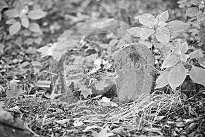 old gravestone in the cemetery