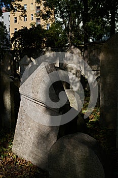 old gravestones on a historical Jewish cemetery in Prague-Žižkov district