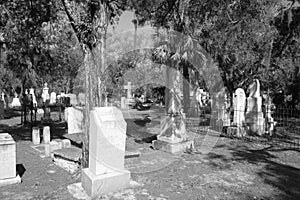 Old graveyard