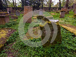 Old Graveyard Barons Haugh Nature Reserve Motherwell. Scotland.UK.
