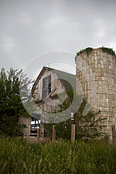 Old, Gray, Abandoned Barn and Overgrown Silo Withs