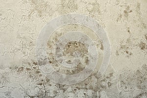 An old gray brick wall with nice texture