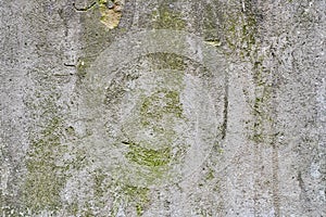 Old gray stone wall with green moss