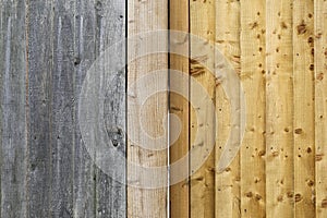 Old gray weathered fence planks and new light gold brown wood