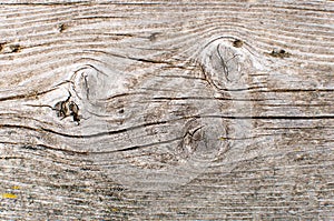 Old gray wooden texture, empty wood background