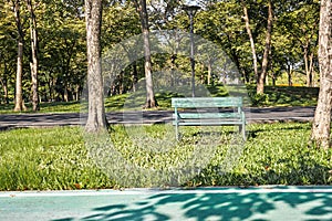 Old green bench on the grass field in the garden with bike lane