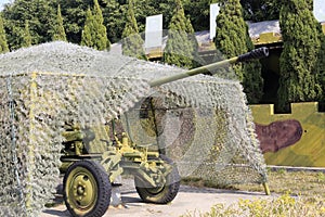 Old green cannon with camouflage