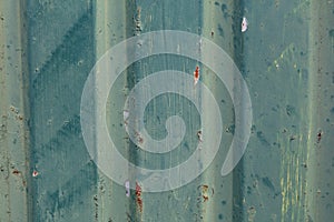Old green corrugated sheet iron
