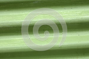 Old green corrugated sheet iron