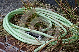 Old Green Garden Hose Piled in Tall Dead Grass