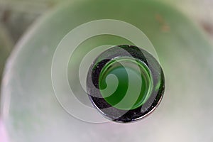 Old green glass demijohn detail