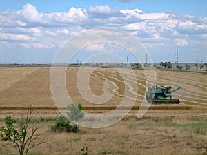 Old green harvester removes grain from the field during harvest.