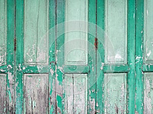 Old green painted panels wood door background.