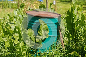 Old green rusty iron barrel used to incinerate garbage in a garden