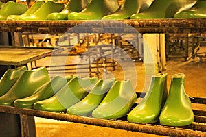 Old green shoe lasts in rows on metal shelves