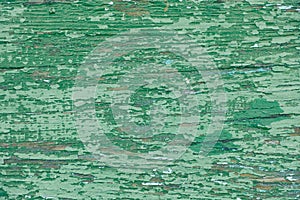 Old green wooden background texture