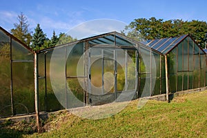 Old greenhouse