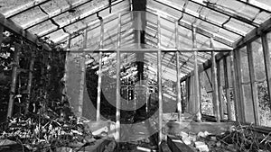 The old greenhouse