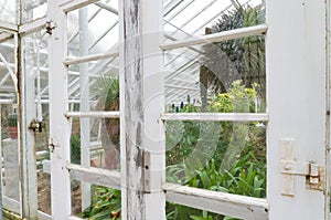Old greenhouse