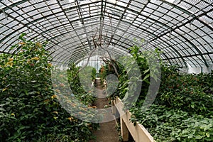 Old Greenhouse at the Jardin des Serres d'Auteuil - Paris, France