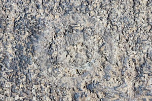 Old grey rough stone wall closeup texture background, selective focus, shallow DOF