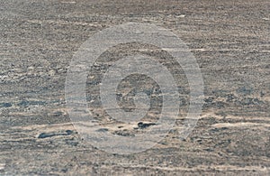 Old grey rustic wood background, wooden surface with copy space. Board, texture.