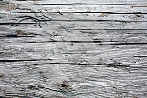 Old Grey Wood. photo