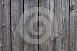 Old grey wood background. Grunge texture.