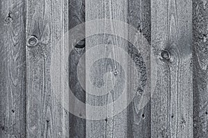 Old grey wood background. Grunge texture. Close-up