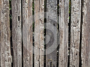 Old grey wooden fence texture. Old wood texture background